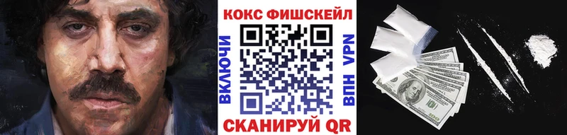 Купить закладки  Емва  КОКАИН Fish Scale 