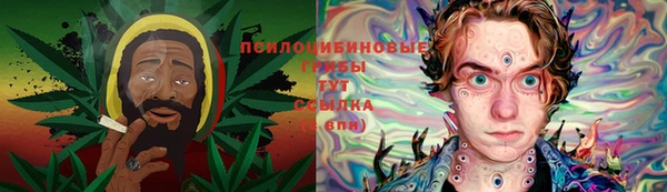 ПСИЛОЦИБИНОВЫЕ ГРИБЫ Иннополис