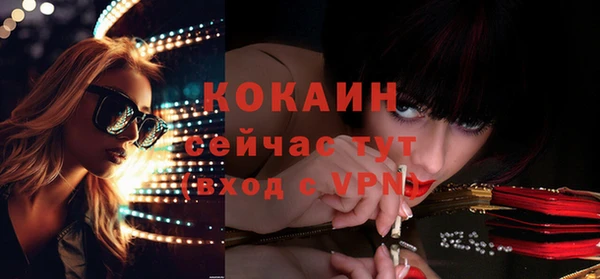 Альфа ПВП Инсар