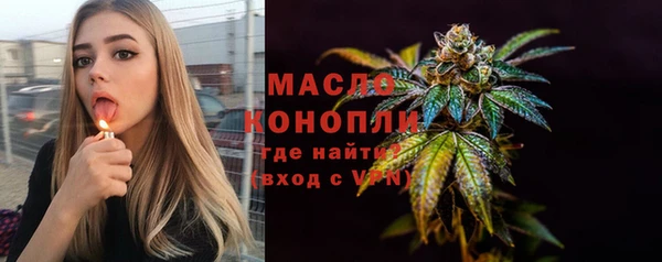 Альфа ПВП Инсар