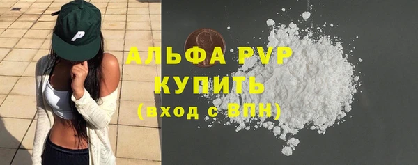 дмт Инта