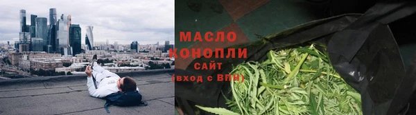 дмт Инта