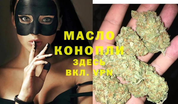 Альфа ПВП Инсар