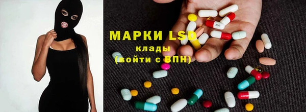 ПСИЛОЦИБИНОВЫЕ ГРИБЫ Иннополис