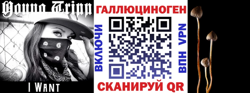 Купить где  Емва  Галлюциногенные грибы мухоморы 
