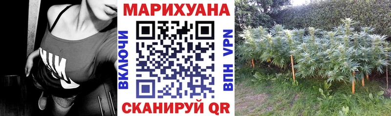 Шишки марихуана THC 21%  Купить  Емва 